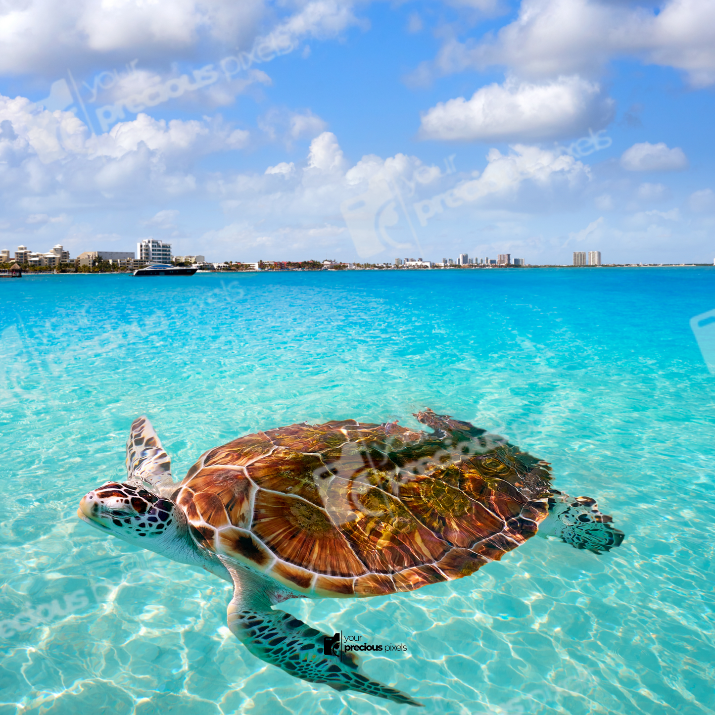 Cancun Photo Book Template