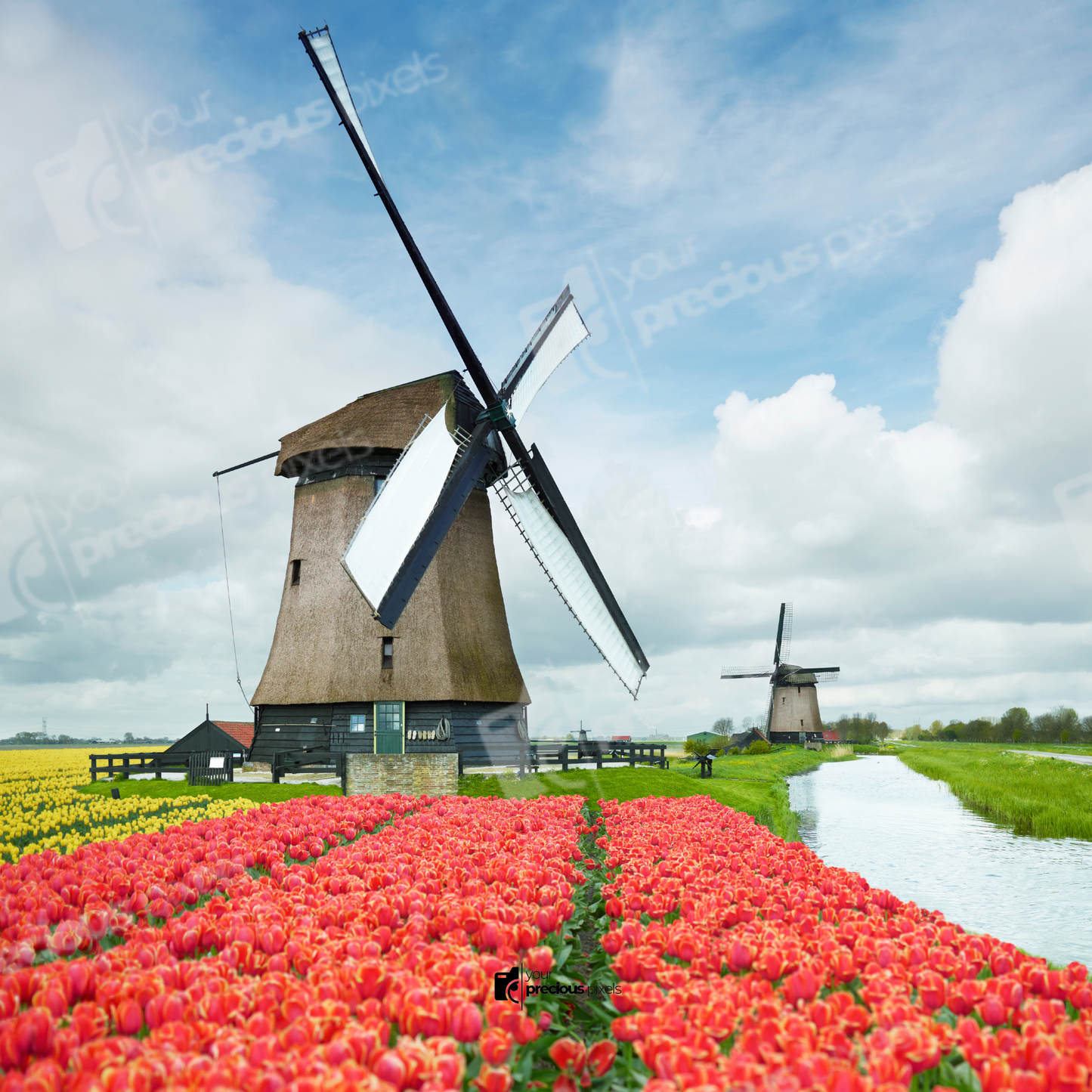 Netherlands Photo Book Template