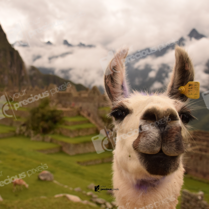 Peru Photo Book Template
